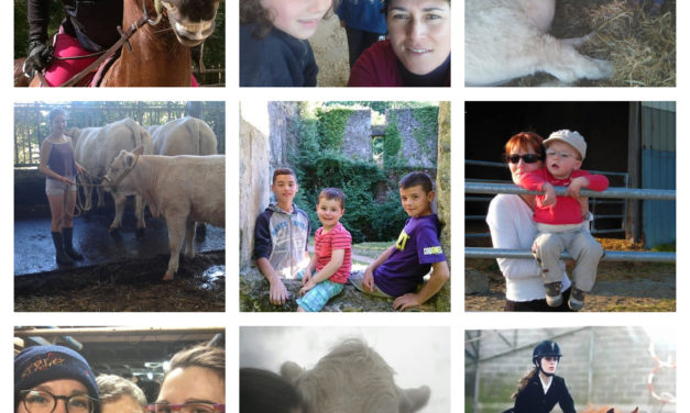 Nos jeunes pousses