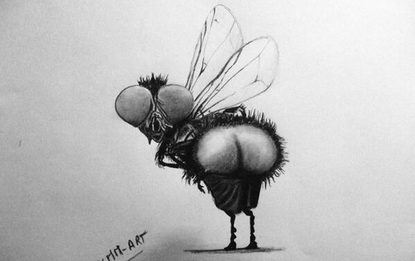 Humeur du soir bonsoir !
