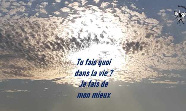 Sûr c&rsquo;est la merde !